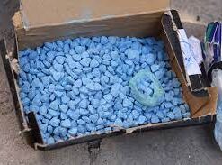 MDMA ecstasy 100x240mg pills