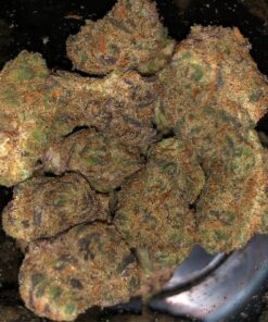 Buy Holy Grail Kush Marijuana Strain oz