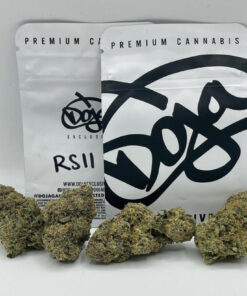 RsII Doja Strain