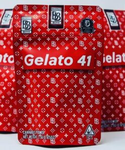 GELATO 41
