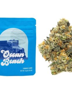 Cookies | Ocean Beach