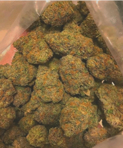 Buy Blue Widow Marijuana Strain