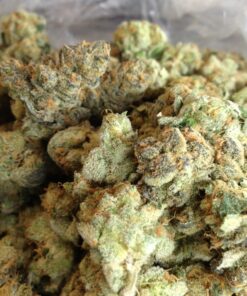 Buy Candyland marijuana online Oz