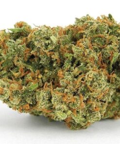 Jack Herer
