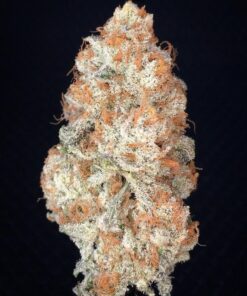 Buy AK Banana Strain Marijuana