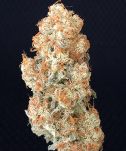 Afghani Hawaiian Strain