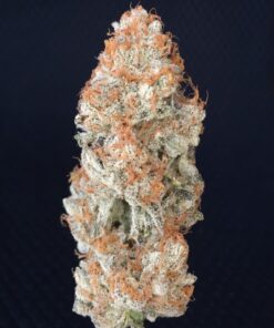 Buy Skunk Korean Strain