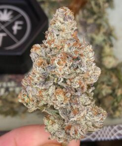 Buy Haze Automatic Seeds