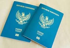 INDONESIAN HQ REGISTERED DATABASE/FAKE DOCUMENTS OF ALL KINDS AVAILABLE